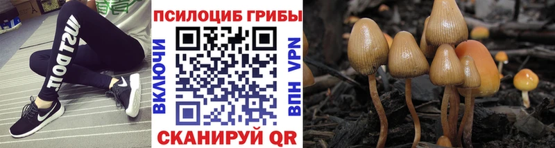 Галлюциногенные грибы ЛСД закладки мега зеркало Яранск
